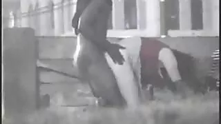 مسٹی آپ کے خیال کے لیے تیار ہے۔