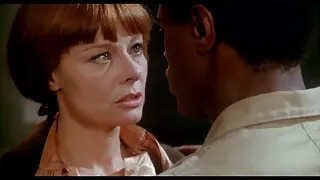 فیشل از سرپرائز