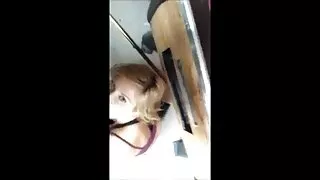 اگست ٹیلر بسٹی سلٹ کا مینڈنگو کے ہاتھوں قتل عام
