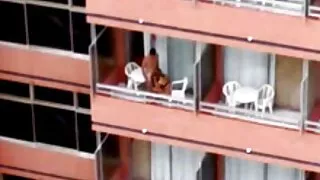 کچھ وائلڈ