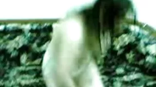 ایشلے ایڈمز اس کی اننی بلی کے ساتھ بستر میں کمبخت کر رہے ہیں۔